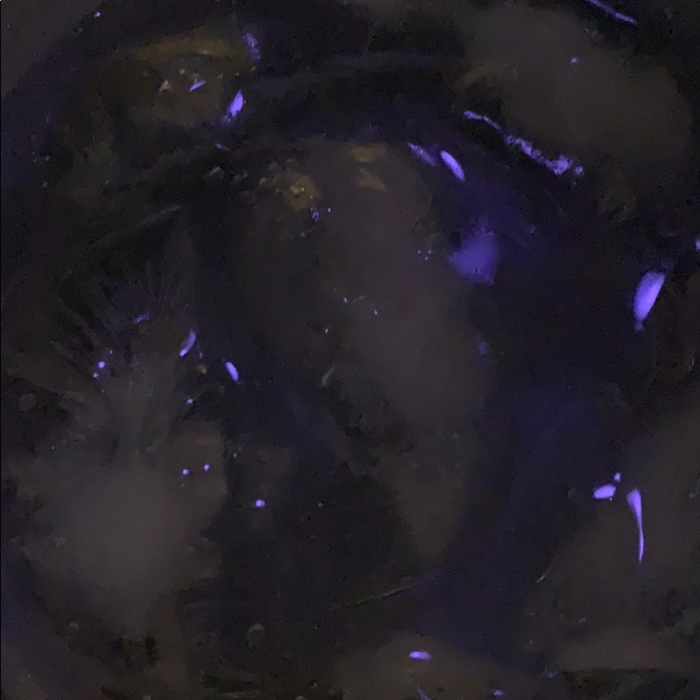 Meet your Posher, Rashpal